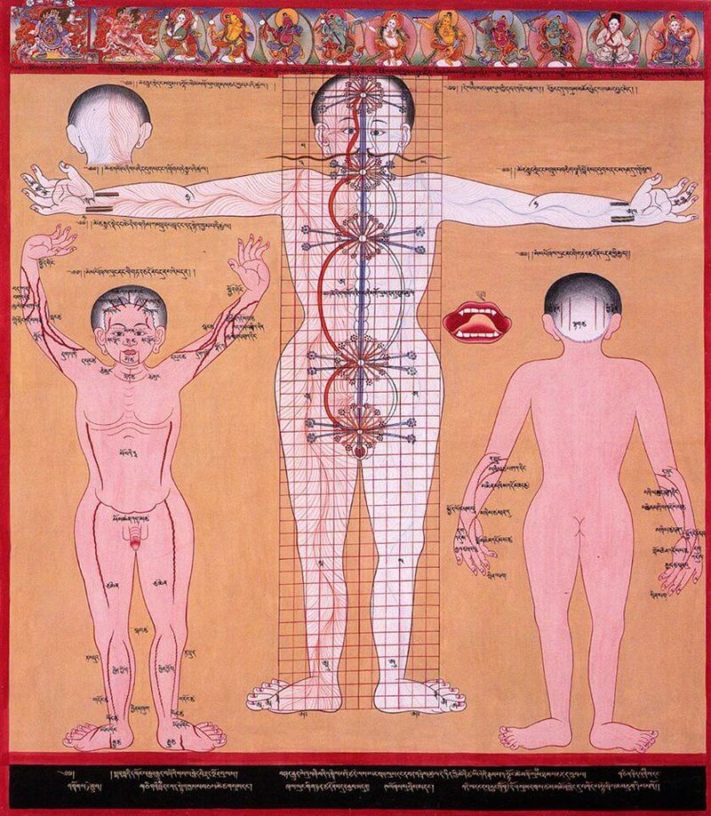 content_cancer_treatment_according_to_the_principles_of_tibetan_medicine__econet_ru