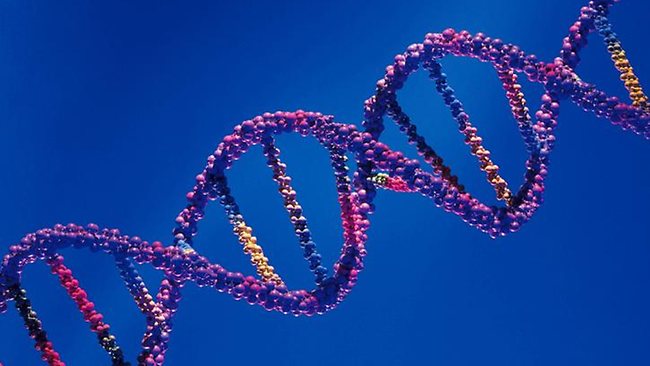 941521-dna