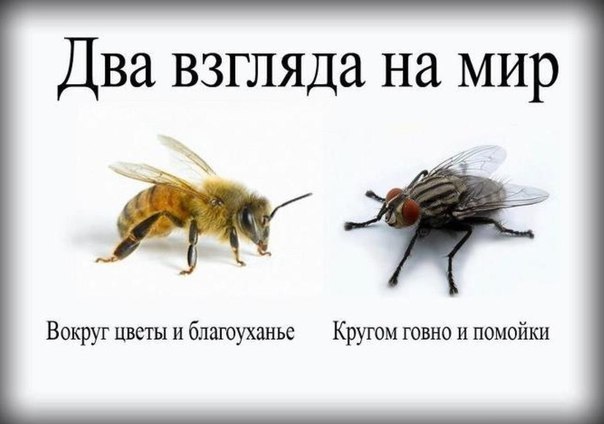 uFnIYDIgBWE